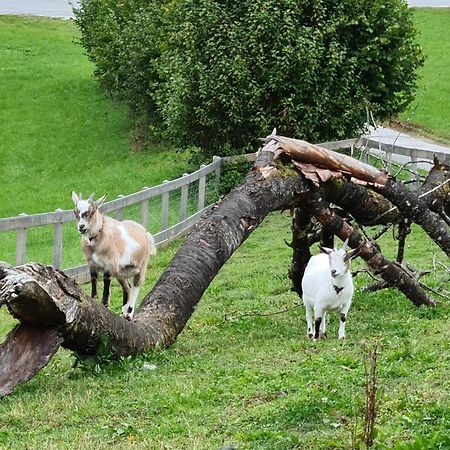 Gut Mitterlehen Leilighet Elsbethen Eksteriør bilde